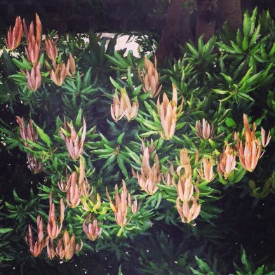 Take what is weary, and flip it upside up.